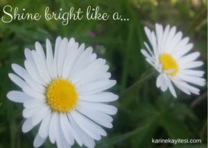 Shine Bright Like a... - copie